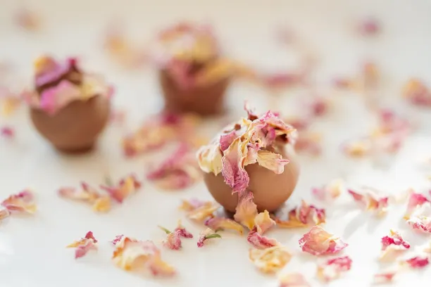 Coin365Bet Casino App Android/iOS